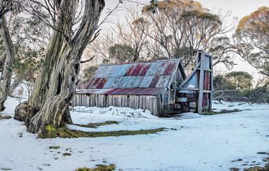 Wallaces Hut - Winter