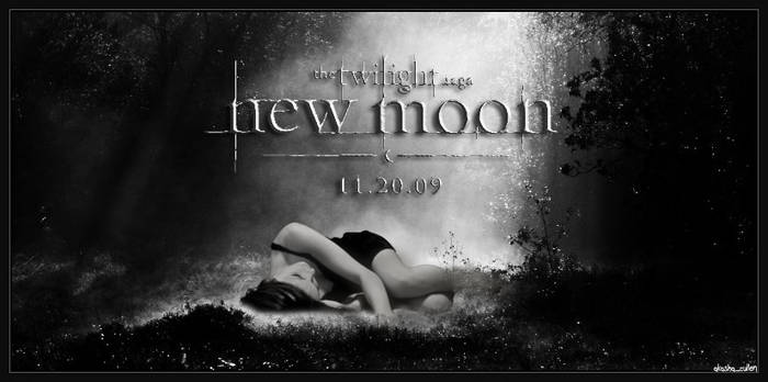 Nnew moon fan poster