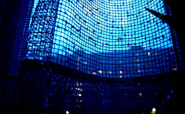 Evening Net2