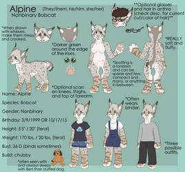 alpine reference 2017 SFW