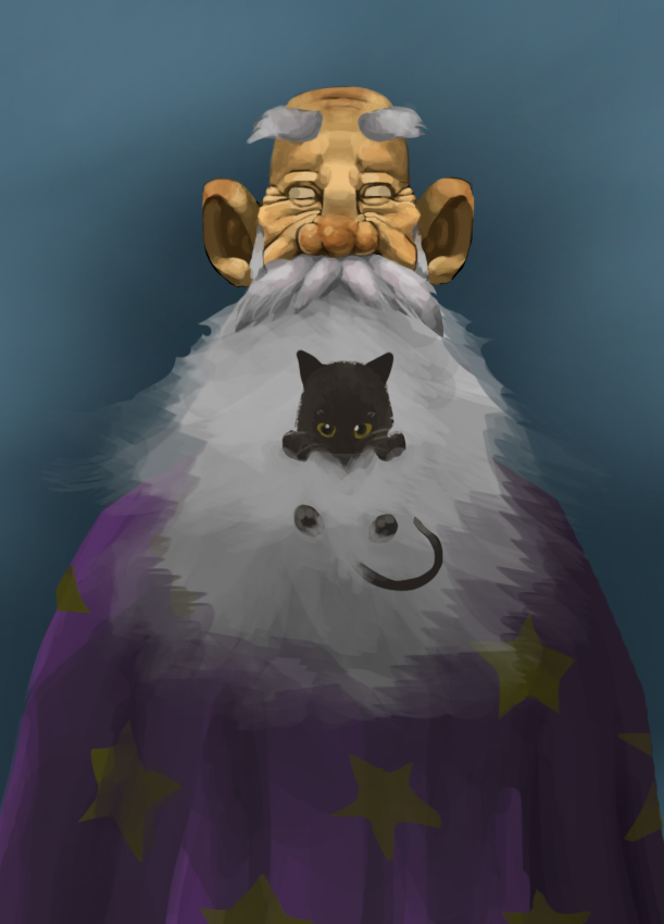 Blind Wizard And His Cat