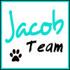 Jacob Team