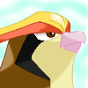 Pidgeot Icon