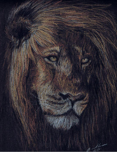 Lion