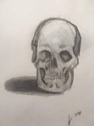 Sketch of a Skull