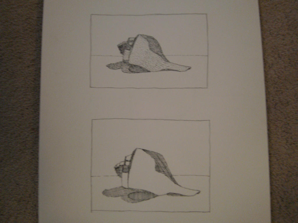 Pointalism Shell pointillism and Crosshatching on Conch shell by BurnMaiku on DeviantArt