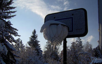 Nature's Slam Dunk