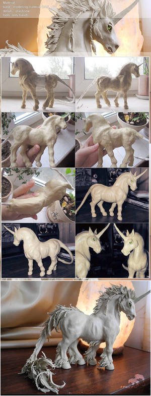 Unicorn step by step