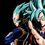Goku and Vegeta as Super Saiyan God Super Saiyans