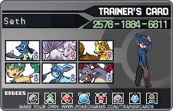 Trainer card