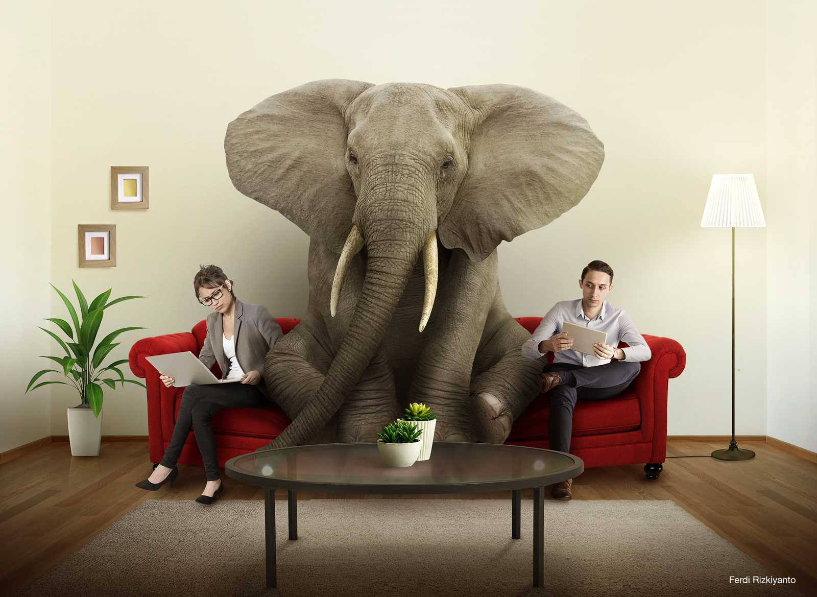 The Elephant In The Living Room Facts