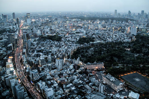 Tokyo Twilight