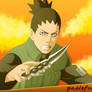 Shikamaru's Oath