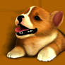 Welsh Corgi