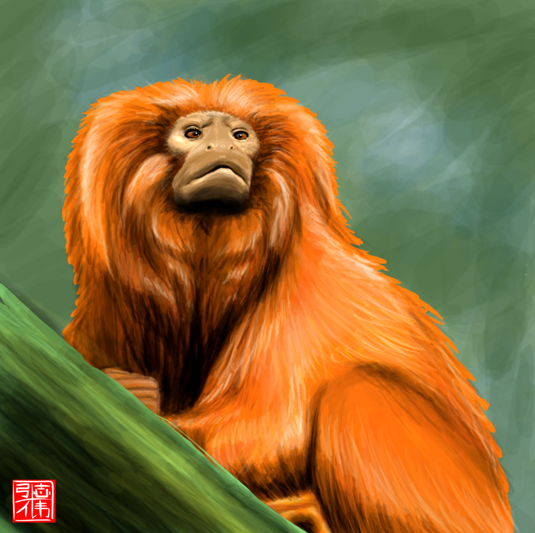 Golden lion tamarin speedpaint