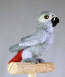 Needle Felted African Grey 5