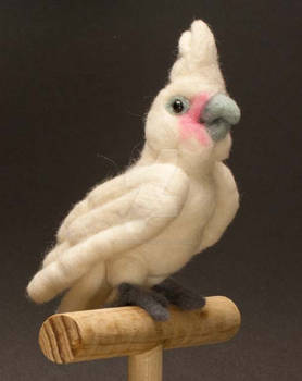 Needle Felted Goffins Cockatoo