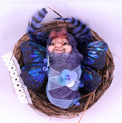 Baby Pixie with blue wings