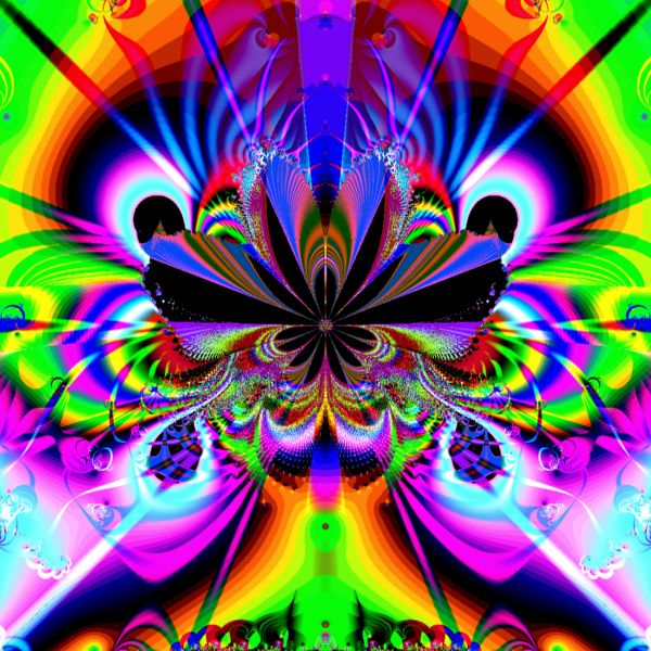 psychedelic butterfly3a