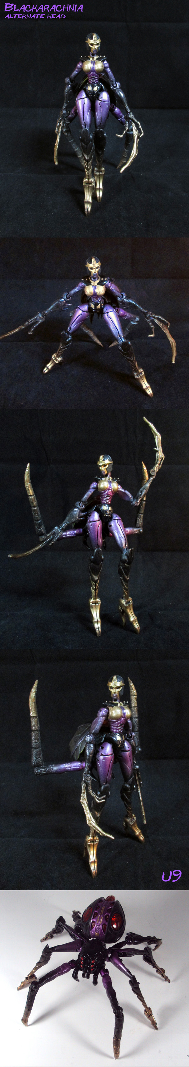 Blackarachnia Custom Alternate Head