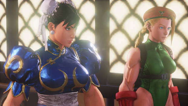 Chun Li and Cammy