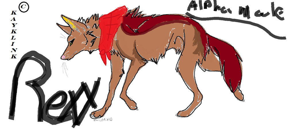 Rexx by Ashenstorm on DeviantArt