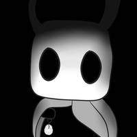 A Hollow Knight