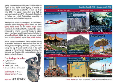 Travel Flyers Design