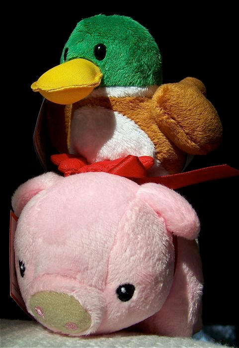 Duck Riding Deviantart A duck riding a pig.... by IronScorpions on DeviantArt