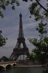 Paris Day 1 - The Eiffel Tower and trees 2