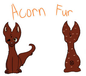 Acorn Fur Design