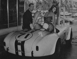 Vintage Retro Playboy Bunny