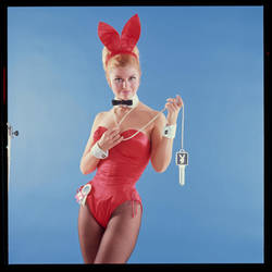 Vintage Playboy Bunny