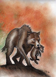 Wolf Family