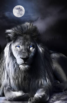 Nox Leo