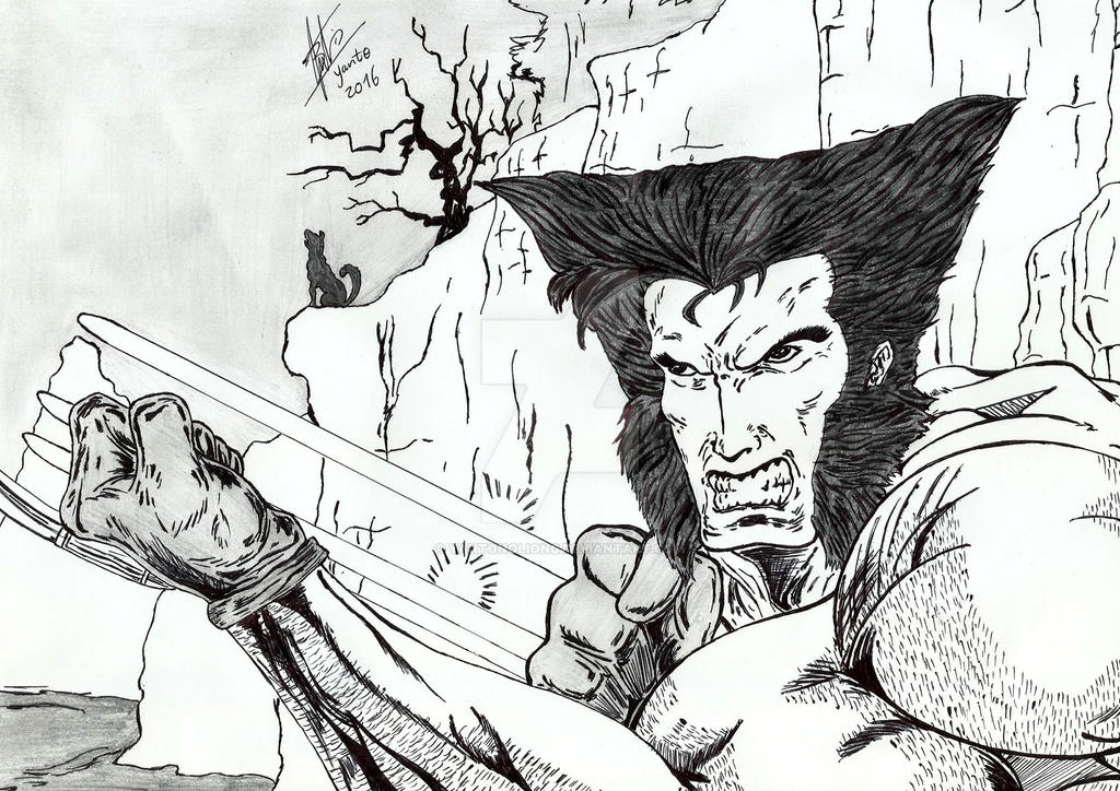 The Wolverine Unmasked by Yantonoliong on DeviantArt