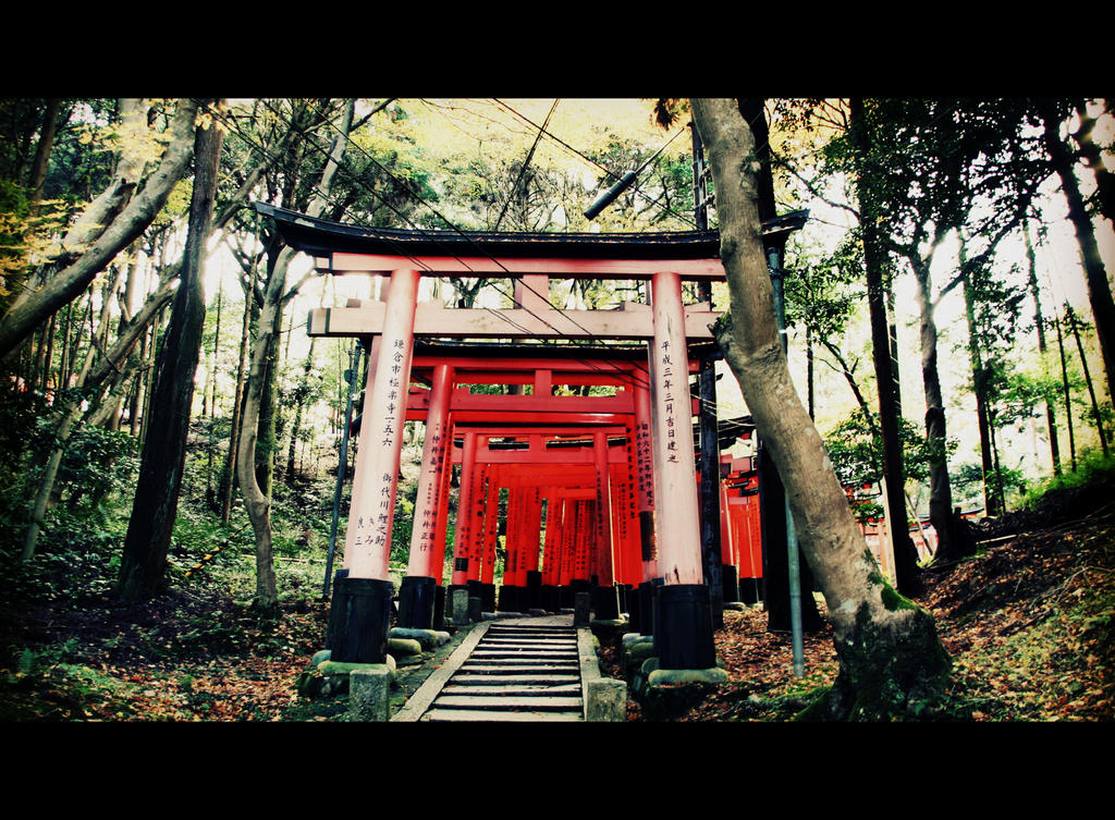 Kyoto, Tori gates in a woods