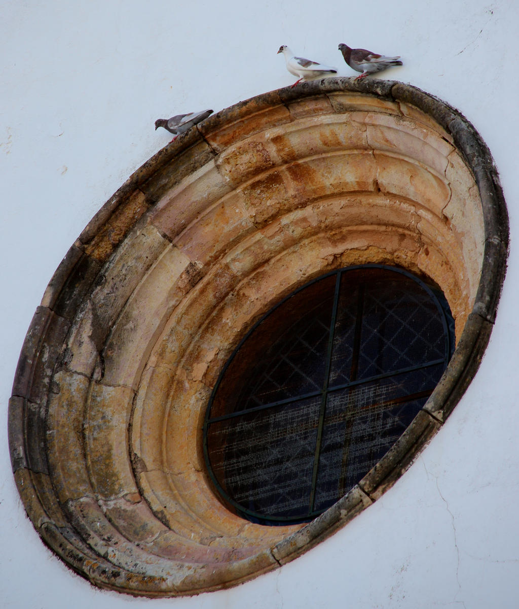 doves and round window