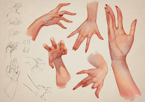 Hand Studies