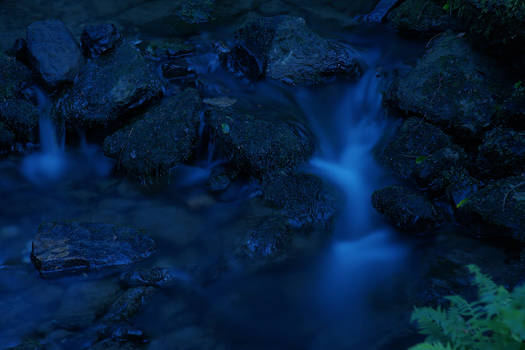 Spooky Creek in the Night