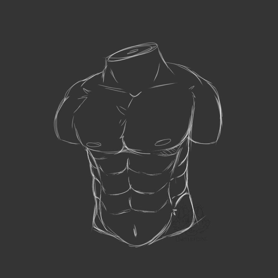 F2U buff body base (furry and human compatible) by Oakthefeline on ...