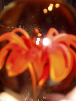 side paperweight orange lilly