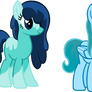 Water pony adopts