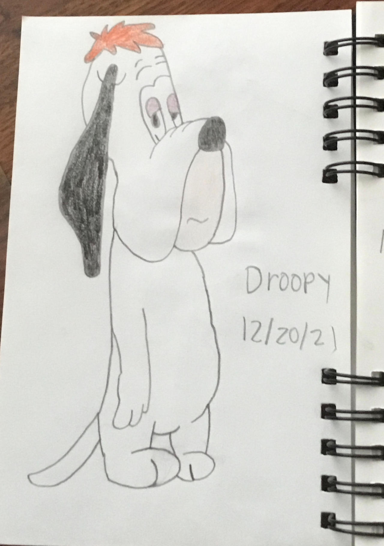 Droopy Drawing by Sponge555 on DeviantArt Droopy Drawing by Sponge555 on DeviantArt