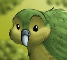 Another kakapo