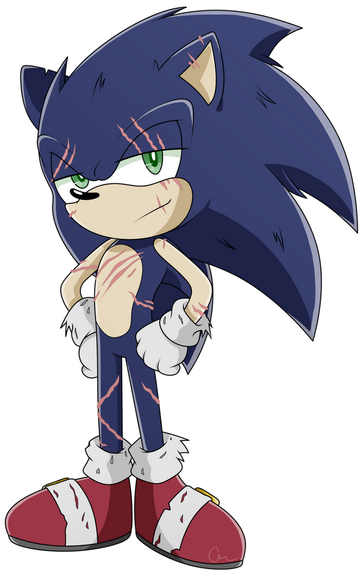 Multiverse Sonic by TheCookieJar13 on DeviantArt