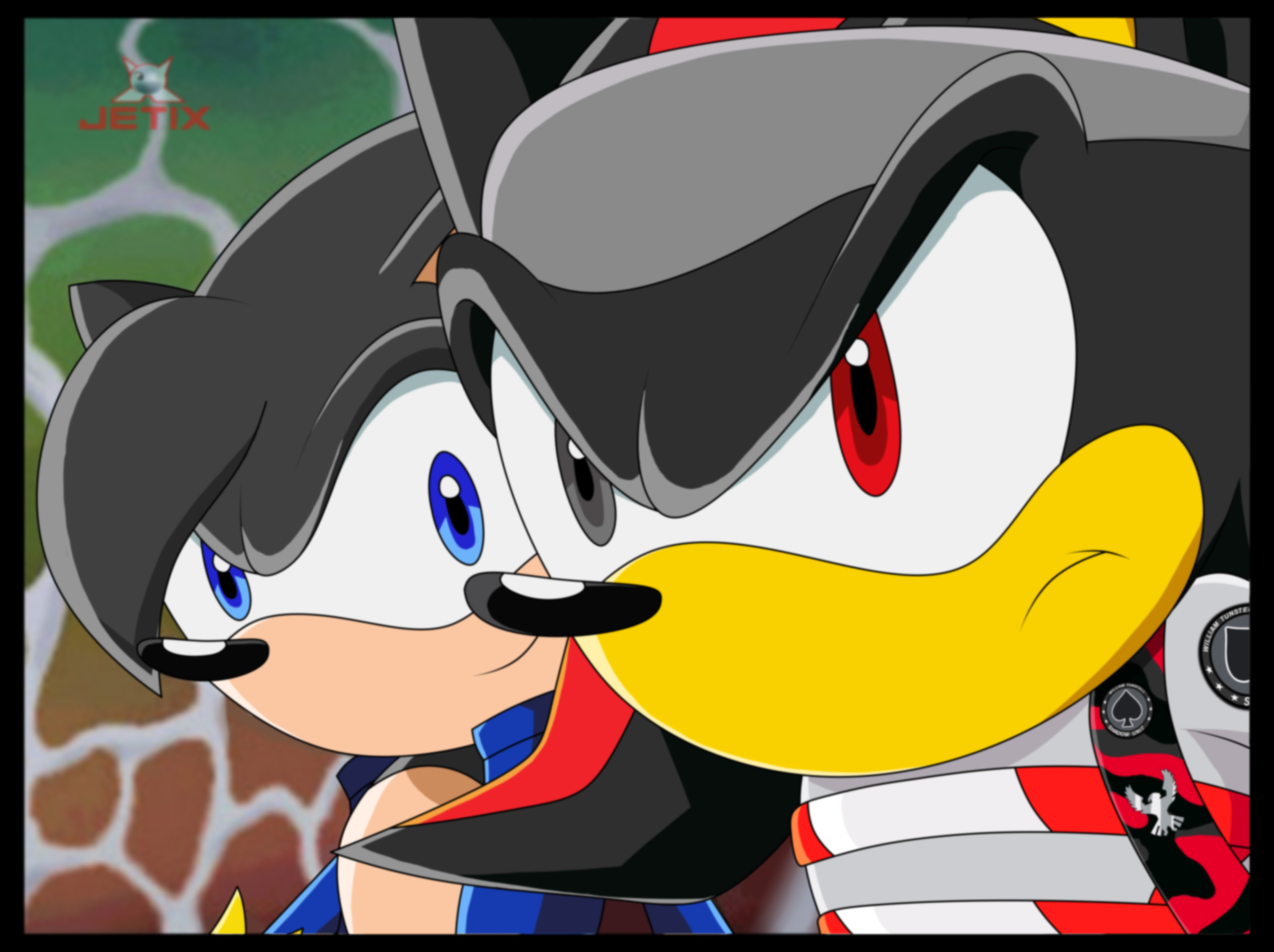 Sonic X Screencaps on Twitter  Shadow the hedgehog, Sonic, Sonic and shadow