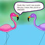 The Purple Flamingo