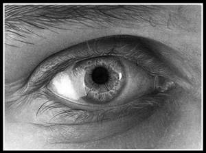 .::The Eye ::.