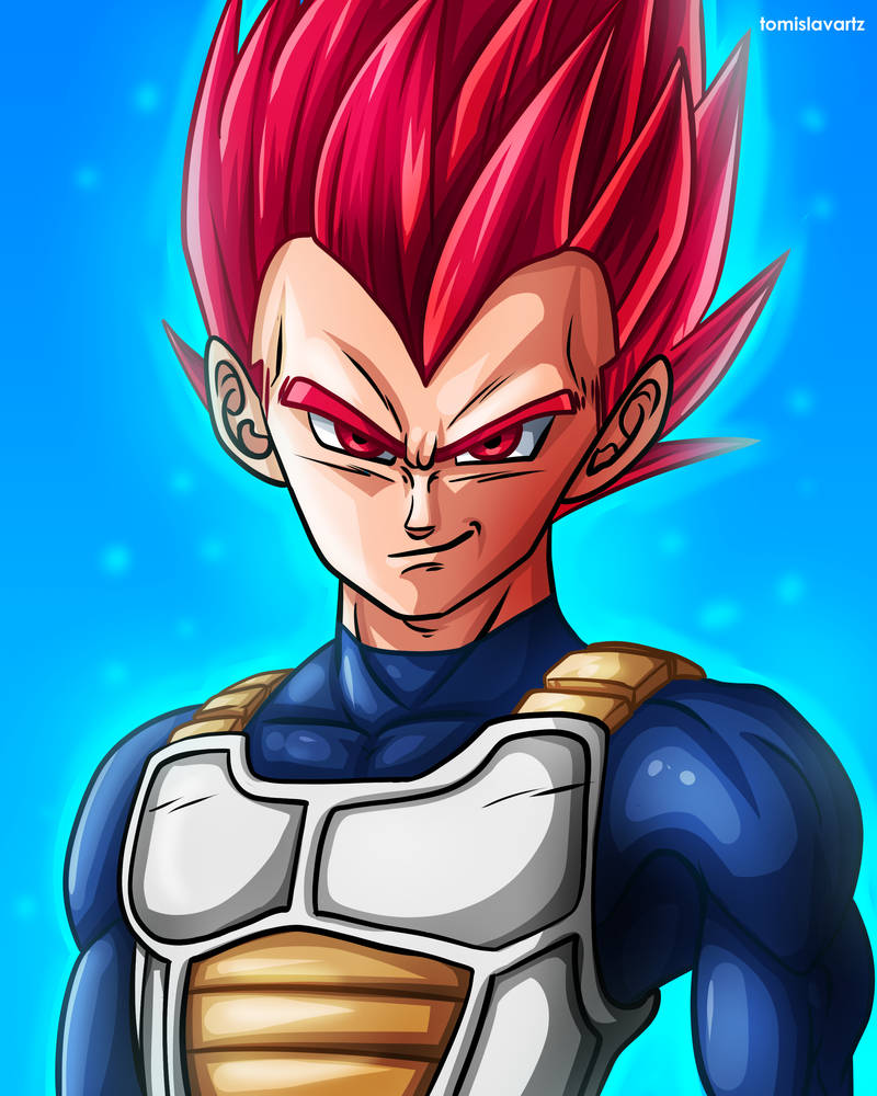 Vegeta - Super Saiyan God (Dragon Ball Super) by ...